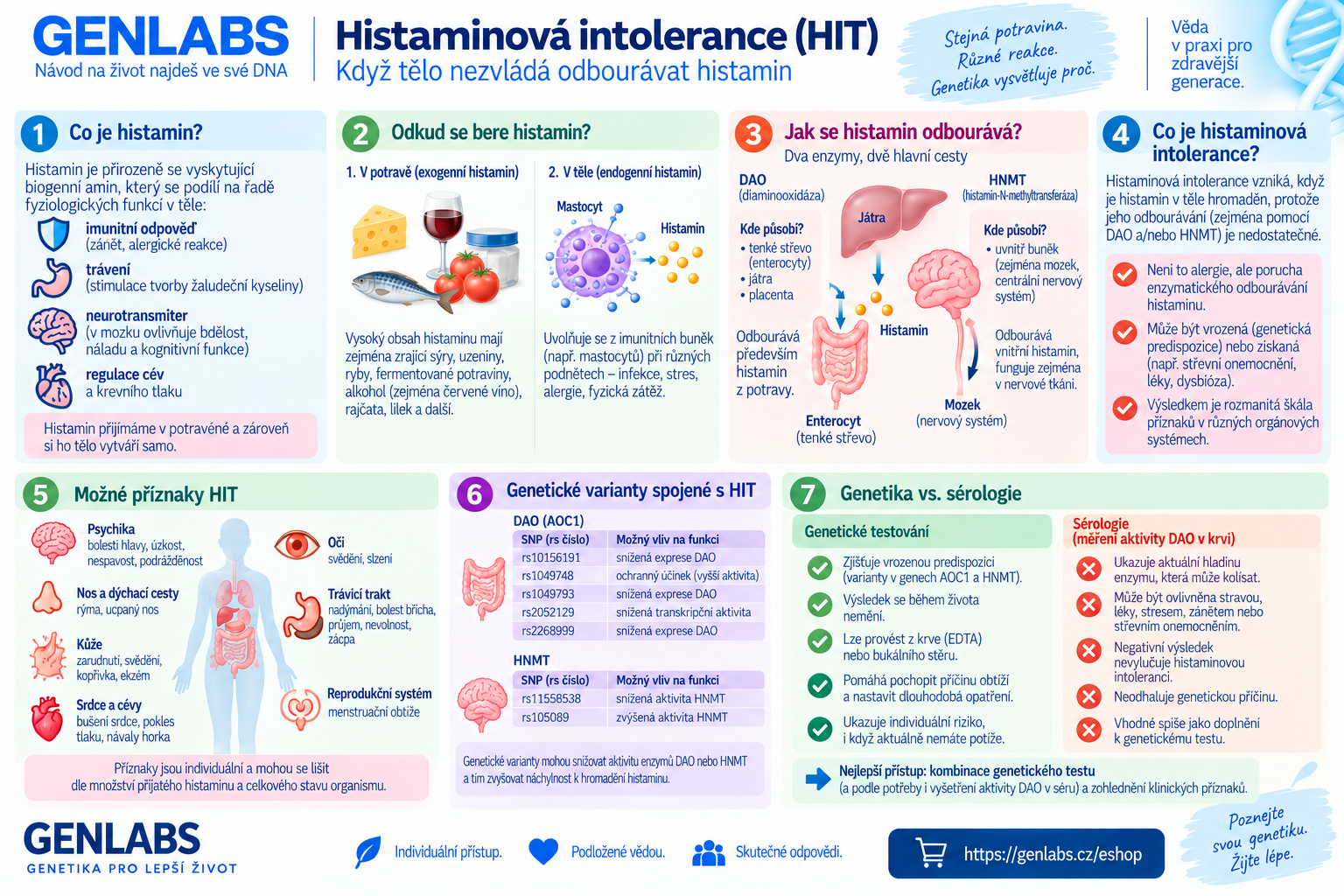 Histaminová intolerance (DAO) - Obrázek 2