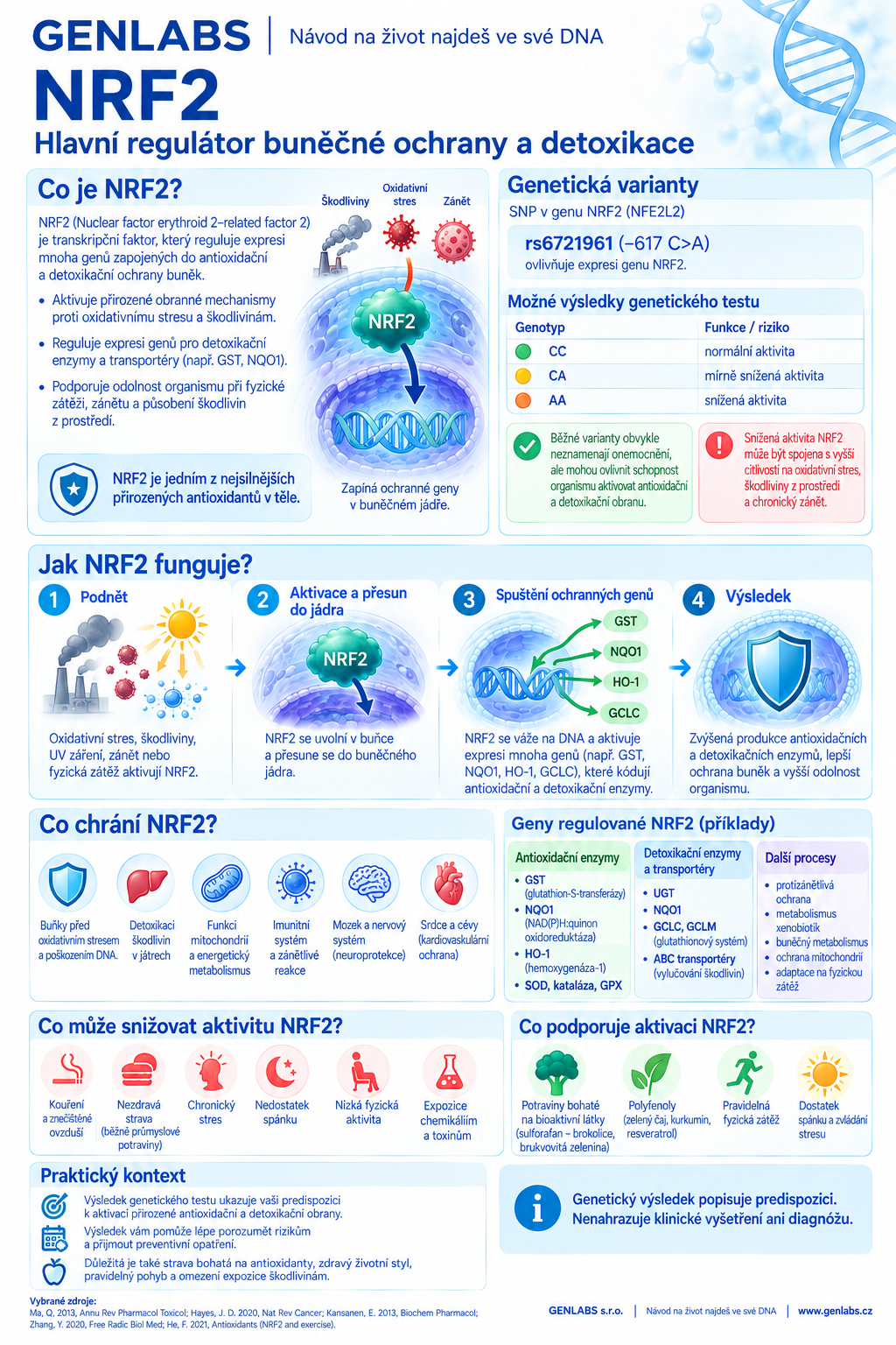 NRF2 - gen regulující oxidanty a záněty v těle - Obrázek 2