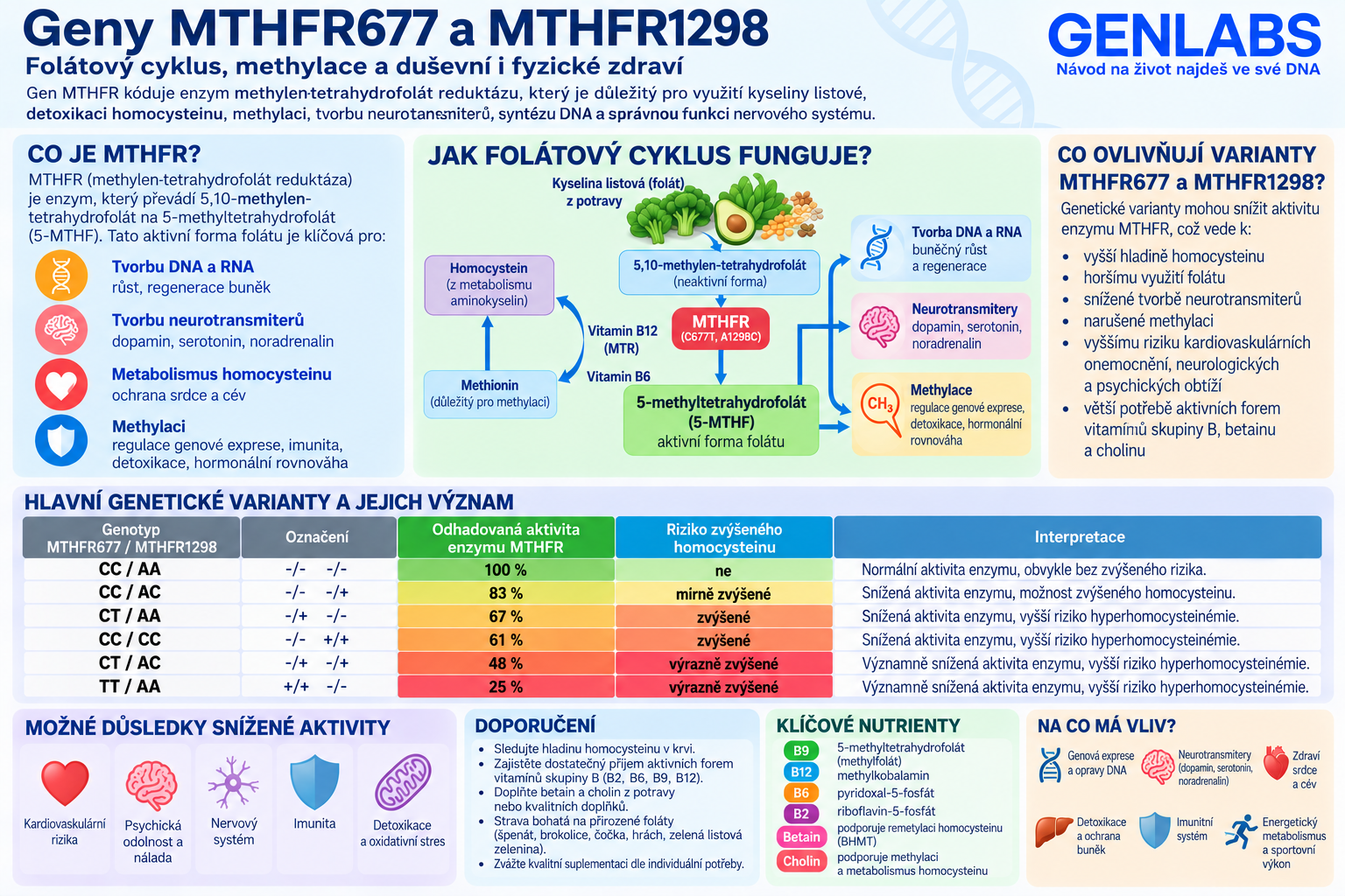 Energie buněk a methylace (MTHFR, MTRR, MTR) - Obrázek 2